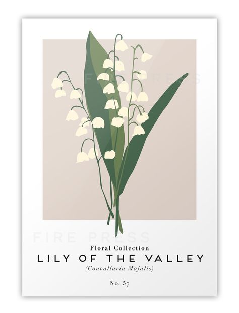 Modern minimalist Lily Of The Valley botanical poster influenced by exhibition art - No. 057.#FreeFonts #FontLove #Typography #DesignInspiration  #CreativeFonts  #FreeDesignResources #FontAddict #FontFrenzy