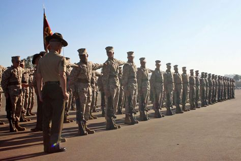 The words drill instructors use have an "enormous" effect on recruits. Mcrd San Diego, Marine Officer, Drill Instructor, The Few The Proud, Hero Inspiration, Female Marines, Future Job, Marine Mom, Military News