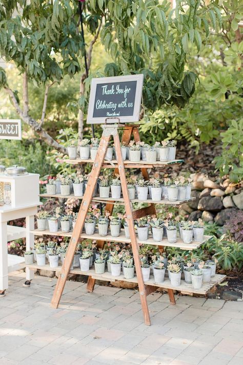 favor display with succulents Creative Wedding Souvenirs, Favor Display, Garden Wedding Favors, Favour Ideas, Edible Wedding Favors, Wedding Shower Decorations, Wedding Giveaways, Wedding Favors Cheap, Beach Wedding Favors