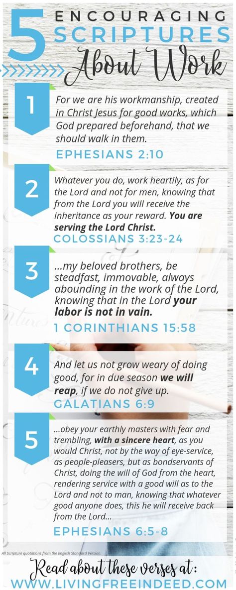 Your work is not in vain. Read these verses about why and how we should labor for the Lord. | Bible Verses For Work | How to Work for God | Do Not Give Up | Galatians 6:9 Printable | Encouraging Scriptures | Women in the Word Bible Verses About Career, Scriptures For Career, Scripture For Workplace, Scriptures About Work, Scriptures For Different Situations, Scriptures For Encouragement, Prayer Ideas, God's Help, Encouraging Scriptures