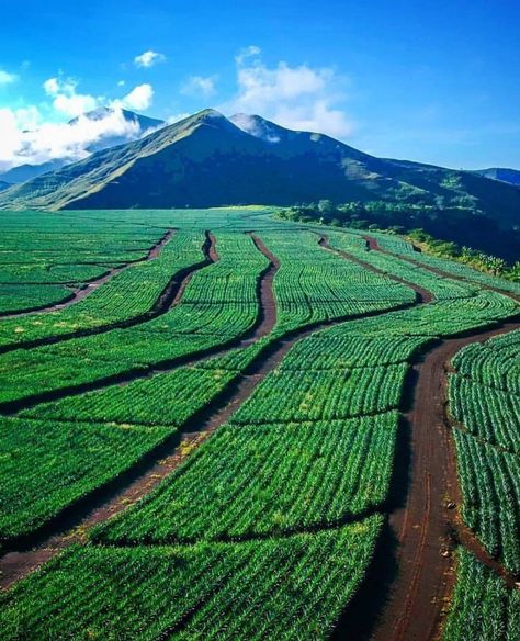 Impasugong, Bukidnon, Philippines A massive... - The New Philippines Collection Philippines Geography, Philippines Scenery, Bukidnon Philippines, Philippines Pictures, Philippines Nature, Travel Philippines, Liminal Spaces, Travel South, South America Travel