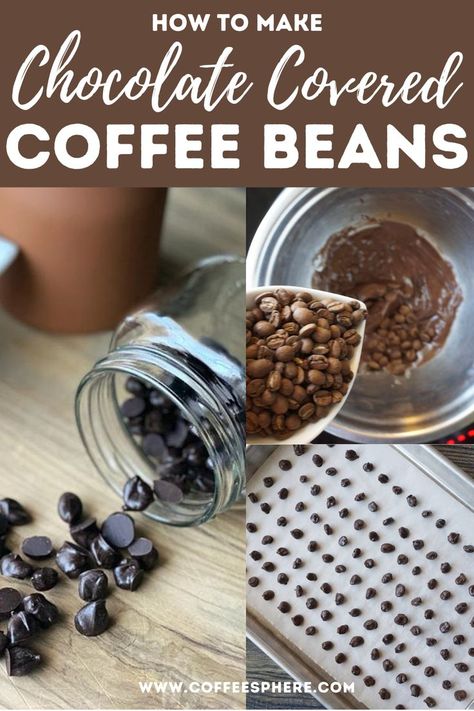 Chocolate Covered Coffee Beans Recipe, Coffee Beans Diy, Chocolate Coffee Beans, Chocolate Covered Coffee Beans, Chocolate Benefits, Chocolate Covered Espresso Beans, Chocolate Pairings, Flavor Combinations, Espresso Beans