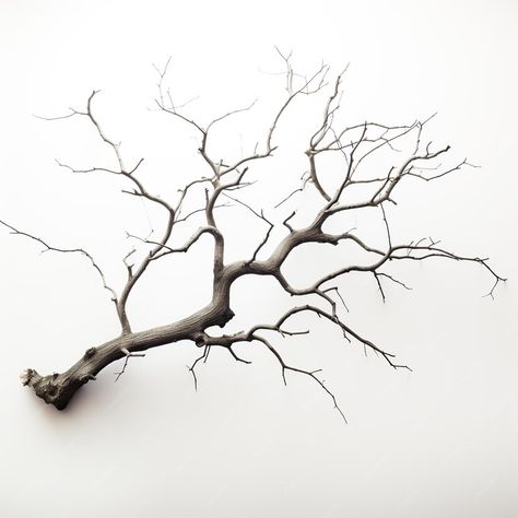 Premium AI Image | tree branches against a white background Tree Branch Silhouette, Photo Tree, Tree Branch, Japanese Garden, Premium Photo, Tree Branches, Tattoo Design, High Quality Images, Background Images