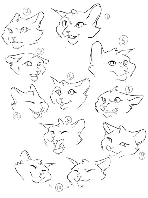 Laughing Cat Drawing, How To Draw Cat Head, Stylised Cat Drawing, Warrior Cat Anatomy, Cat Side Profile Drawing Reference, Cat Expressions Drawing, Warrior Cats Drawing Base, Cat Pose Reference, Warrior Cats Base