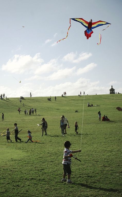 Flying Parrot, Flying Photography, Parrot Flying, Kites For Kids, Date Ideas For New Couples, Fly A Kite, The Kite Runner, Go Fly A Kite, Birthday Activities