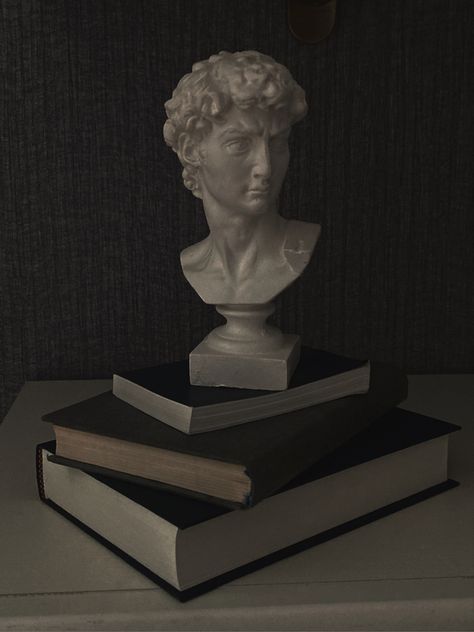 Dark Academia Bust Statue, Sculpture Astethic, Dark Sculpture Aesthetic, Dark Academia Law Aesthetic, Theatrical Academia, Statue Of David Aesthetic, Statue Aesthetic Dark, David Sculpture Aesthetic, Classical Academia Aesthetic