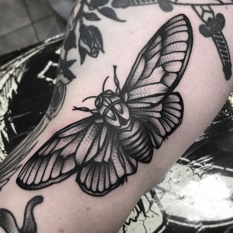 Traditional Moth Tattoo, Cicada Tattoo, Cuff Tattoo, Traditional Tattoo Inspiration, Moon Phases Tattoo, Bug Tattoo, City Tattoo, Sibling Tattoos, Tattoo Ideas For Men