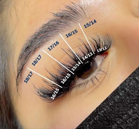 Fluffy Hybrid Lash Extensions Map, Long Lash Mapping, Spikey Lash Map, Wispy Mega Volume Lash Extensions Mapping, Lash Extensions With Numbers, Eyelash Mapping Styles, Spike Eyelash Extensions, Wispy Volume Lash Extensions Map, Whispy Lashes Extensions Map