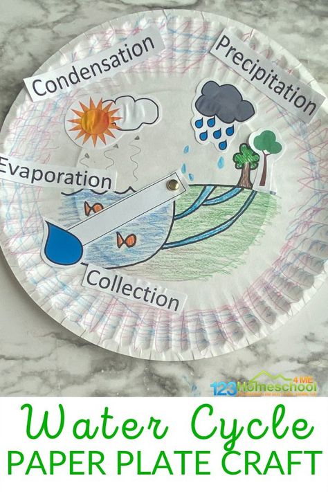 Water Cycle Craft with free printables for collection, evaporation, condensation, precipitation Water Cycle Craft For Kids, Water Cycle Paper Plate Craft, Water Cycle Printable Free, Water Cycle Art Project, Water Cycle Activity For Kids, Water Cycle Craft Preschool, Condensation Water Cycle, Water Activities Preschool, Water Cycle Craft