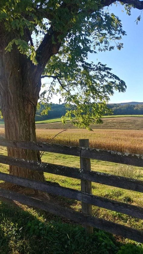 Coastal Country Aesthetic, House In The Countryside, Farm Dream, Countryside Aesthetic, Carol Peletier, Countryside Living, Live In Peace, Miley Stewart, Farm Land