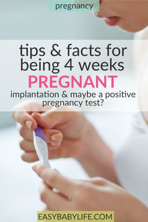 Conceive Pregnancy, Embryo Implantation, 4 Weeks Pregnant, Pregnancy Weeks, Pregnancy Test Results, 5 Weeks Pregnant, Pregnancy Checklist, Positive Pregnancy Test, Chances Of Getting Pregnant