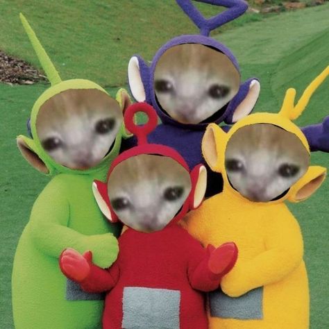 Pfp For Your Friends, Teletubbies Pfp, Cursed Cat Pics, Crying Cat Costume, Friends Pfp, Bread Cat, Banana Cat, Ugly Cat, Laughing Cat