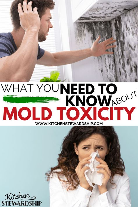 Mold toxicity symptoms can vary from one person to another. Although people do not usually realize it, mold can cause health problems. Read the article to learn how the mold is toxic. Healing From Mold Toxicity, Mold Toxicity Symptoms, Toxic Mold Symptoms, Poisoning Symptoms, Mold Toxicity, Toxic Mold, Mold Exposure, Mold Remover, Family Friendly Meals