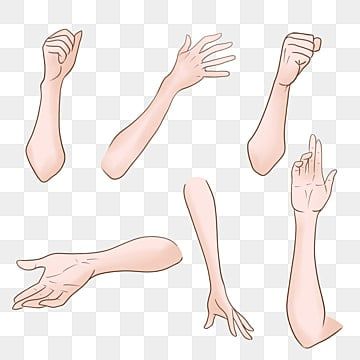 Hand And Arm Drawing Reference, Body Posture Reference, Arm Base Drawing, Png Vtuber Base, Hand And Arm Drawing, Anime Arms Reference, Arm Poses Drawing, Vtuber Hand Asset, Png Tuber Base