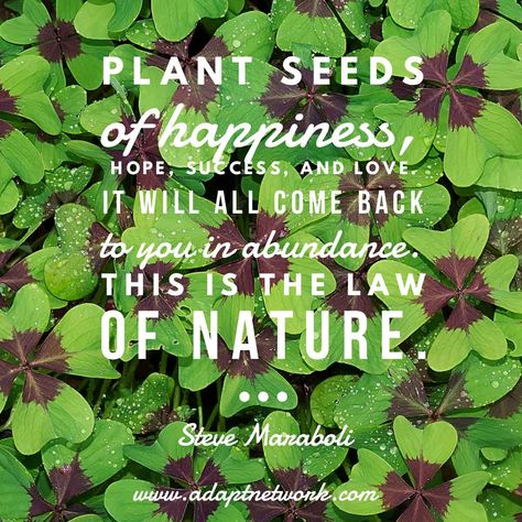 Plant seeds of happiness, hope, success, and love. It will all come back to you in abundance. This is the law of nature. Inspirational Quotes Plants Quotes Life Inspiration, Seeds Quotes, Planting Seeds Quotes, Seed Quotes, Law Of Nature, Gardening Quotes, Plants Quotes, German Quotes, Travel Quotes Adventure