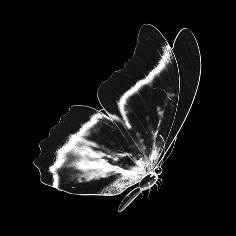 Butterfly Pfp, Black Aesthetic Icon, Dark Royal Aesthetic, Vampire Knight Yuki, Black And White Gif, Anime Goth, Butterfly Logo, Royal Aesthetic, Barbie Model