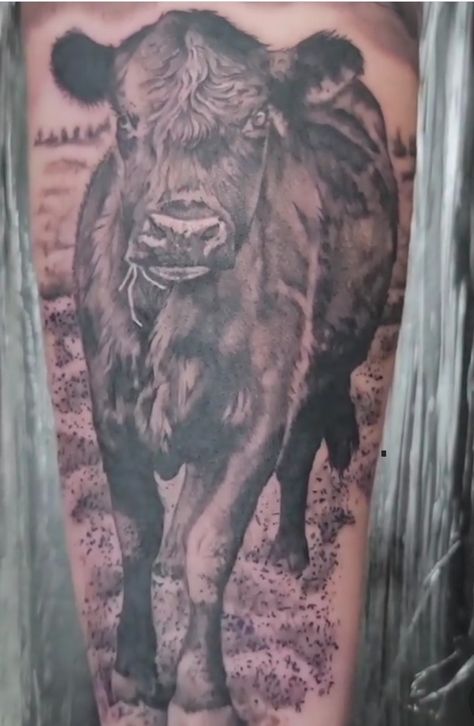 Cow Calf Tattoo, Cow Tattoo Ideas For Women, Cattle Tattoos For Women, Cows Tattoo Ideas, Pretty Cow Tattoo, Unique Cow Tattoos, Cow With Two Heads Tattoo, Calf Tattoos For Women, Cow Tattoo