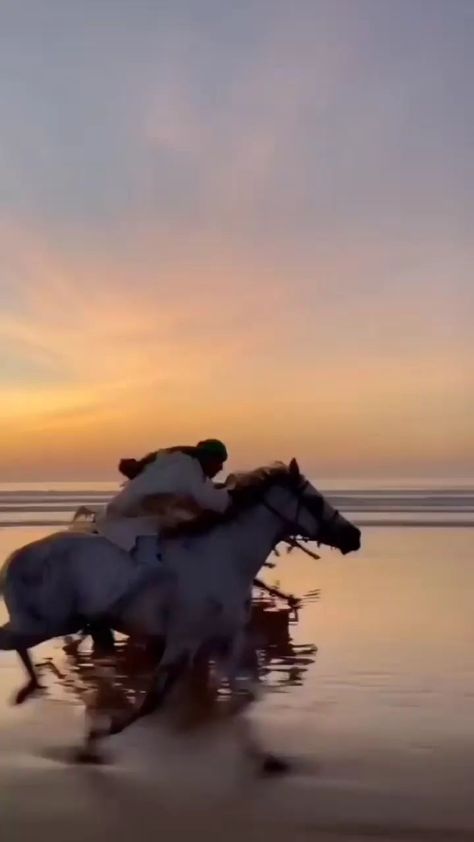 Laughing Horse, Horse Beach, Mekka Islam, Funny Horse Videos, Beach Rides, Horses Running, Beach Instagram Pictures, Horses Equestrian, Muslim Quran