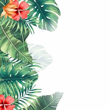 tropical clipart,tropical,frame,leaf,flower,plant,green,space area,flower clipart,leaf clipart,frame clipart,plant clipart,green clipart,flower clipart outline,white clipart Tropical Clipart, Tropical Frames, Framed Leaves, Rock Flowers, Leaf Clipart, Pink Watercolor Flower, Frame Png, Leaf Flower, Graphic Design Background Templates