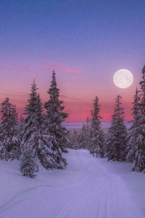 Scenery Winter, Post Wallpaper, Pictures Winter, Winter Moon, Winter Landscape Painting, Christmas Scenery, Winter Szenen, Cute Christmas Wallpaper, Winter Background