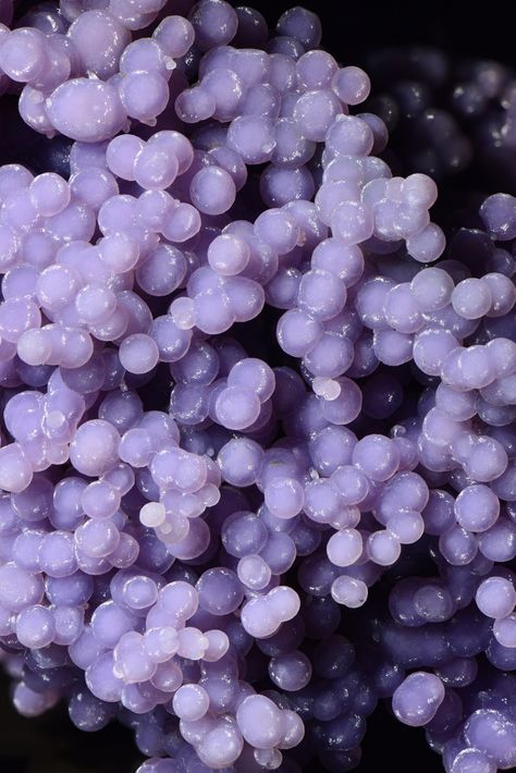 Grape Amethyst | Locality: Mamuju area, Sulawesi Barat Provi… | Flickr Grape Amethyst, U Rock, Grape Agate, Character Board, Nom Nom, Color Purple, Close Up, Grapes, Agate