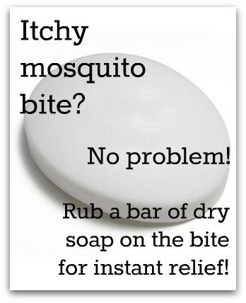 Best mosquito bite remedy ever Mosquito Bite Remedy, Remedies For Mosquito Bites, Vicks Vapor Rub, 1000 Lifehacks, Mosquito Bites, Mosquito Bite, Bug Bites, E Mc2, Handy Dandy