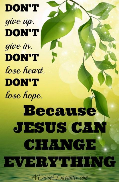 Feeling hopeless? Take heart! Consider this biblical example remarkable faith and miraculous healing, and find hope in Jesus for your hopeless situation. Fire Angel, Ppc Marketing, Woord Van God, Miraculous Healing, Praising God, Hope In Jesus, Powerful Messages, Spiritual Things, Dont Lose Hope