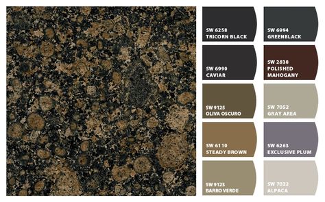 Paint colors with Baltic Brown granite Baltic Brown Granite, Dark Granite Countertops, Granite Paint, Brown Granite Countertops, Granite Countertops Colors, Countertops Granite, Granite Bathroom, Bathroom Tips, Outdoor Kitchen Countertops