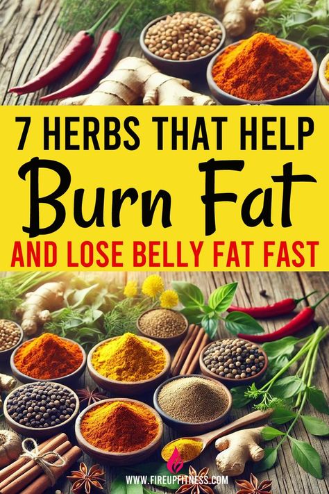 7 Herbs That Help Burn Fat and Lose Belly Fat Fast! 🌿🔥 Food To Burn Belly Fat Meals, Kick Start Metabolism, Diet Plans For Women Fat Burning, Essential Oils For Belly Fat Loss, Loose Belly Fat Quick Diet Plan, Losing Stomach Fat Fast, Best Ways To Lose Belly Fat Woman, How To Boost Metabolism, Belly Fat Burner Drink Recipes