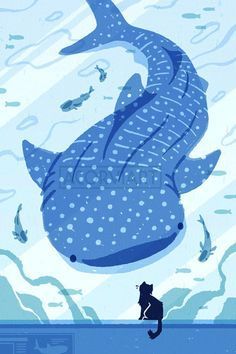 To The Unknown, Shark Pictures, Shark Drawing, Shark Art, Cute Whales, Cute Shark, The Whale, Whale Shark, Marine Animals