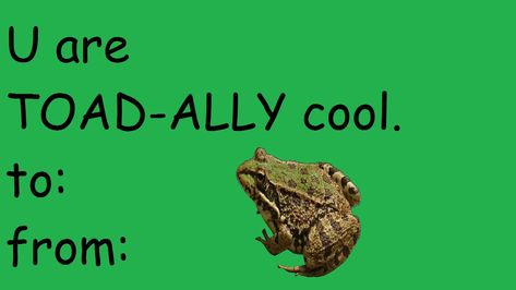 Frog Pick Up Lines, Smart Pick Up Lines, Cringe Valentines Cards, Bad Valentines Cards Funny, Valentines Cards For Friends, Valentines Cards Funny, Funny Valentines, Goofy Valentines, Funny Valentines Cards For Friends