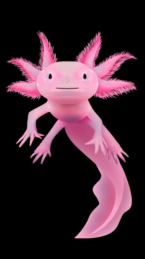 Axolotl Drawing Realistic, Aesthetic Axolotl, Axolotl Aesthetic, Axolotl Oc, Axolotl Wallpaper, Axolotl Illustration, Axolotl Tattoo, Axolotl Drawing, Axolotl Art