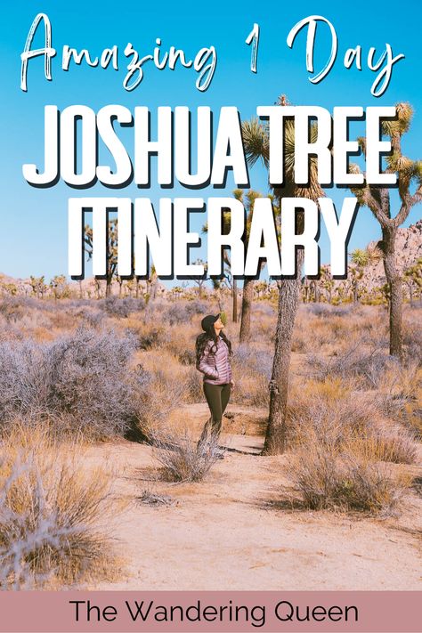 The Ultimate Day Trip to Joshua Tree National Park - The Wandering Queen California Places To Visit, Pacific Coast Road Trip, Petrified Forest National Park, Kings Canyon, Palm Springs California, National Parks Usa, Sequoia National Park, Summer Road Trip, National Parks Trip