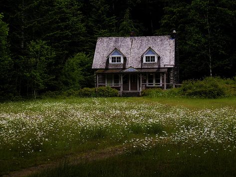 lovely Beautiful Fairy, Cottage Cabin, Little Cottage, Cabins And Cottages, Cabin Life, Cozy Place, Fairy House, Back To Nature, Cabins In The Woods