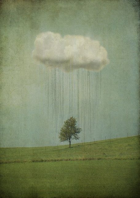 Jamie Heiden Jamie Heiden, The Clouds, A Tree