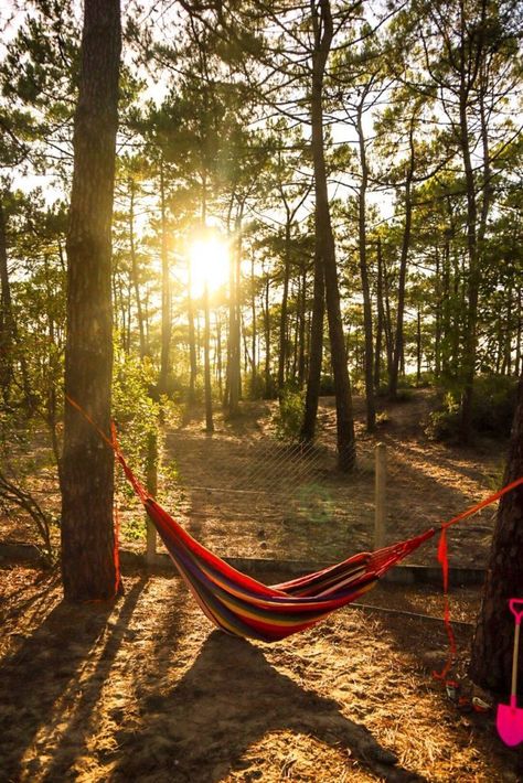 The first thing that hits you on arrival at #Camping Cote d’Argent is the smell of the pine trees. Add to that several citronella candles some frying lardons, and you’ve got yourself the aromas of a family camping holiday on #France’s #Atlantic #coast that will stick in your sensory memory for years to come...#southwestfrance #travelwithkids #travel #holiday #familytravel #beach #hammock #pinetrees #frenchcampsite South West France, Beach Hammock, West France, Camping Holiday, Surf School, Citronella Candles, Camping Glamping, Water Me, Pine Forest