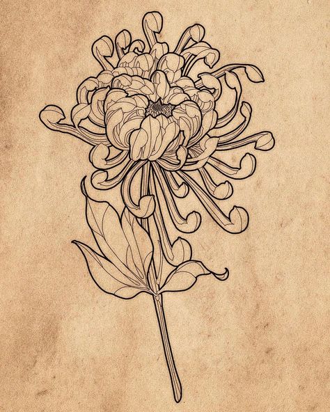 Chrysanthemum Tattoo, Japan Tattoo Design, Gothic Tattoo, Modern Tattoos, Tattoo Portfolio, Tattoo Project, Japanese Tattoo Art, Desenho Tattoo, Tattoo Flash Art