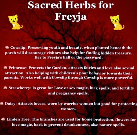 Freya Associations, Working With Freya, Freja Goddess, Freyja Altar, Lady Freyja, Deity Work, Goddess Freya, Witchcraft Tips, Norse Paganism