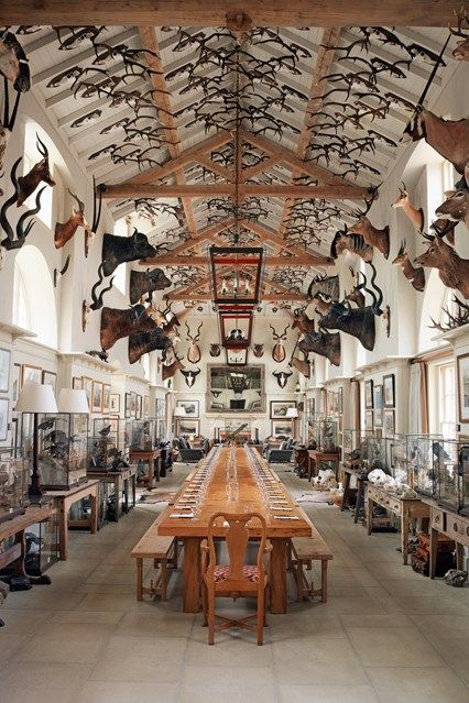 Shooting Lodge - Modern Maximalism - Latest Interior Design Trends & Design Ideas (houseandgarden.co.uk) Hunting Lodge Interiors, Hunting Lodge Decor, Taxidermy Decor, Deer Antler Decor, Log Home Interiors, Deer Mounts, Hunting Room, Maximalist Interior, Hunting Decor