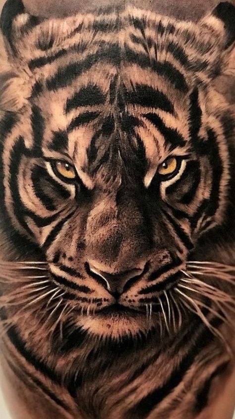 Tiger Face Tattoo, Tiger Head Tattoo, Art Tigre, Tiger Tattoo Sleeve, Regnul Animal, Wild Animal Wallpaper, Tiger Artwork, Tiger Tattoo Design, Tiger Drawing