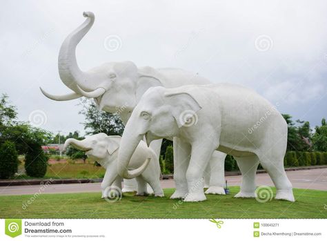 White Elephant Statue, Elephant Statue Garden, Garden Water Fountains, Sun City, Elephant Statue, Outdoor Bathrooms, Animal Statues, White Elephant, Peta