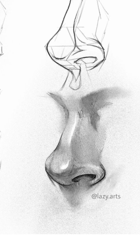 Simple Nose Drawing, Draw A Nose, 얼굴 드로잉, Drawing Step By Step, Nose Drawing, Human Anatomy Art, 강아지 그림, Portraiture Drawing, Anatomy Sketches