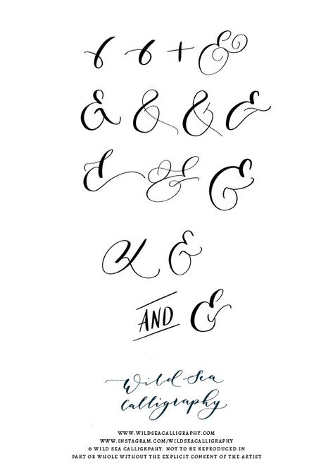 Ampersand Lettering, Ampersand Calligraphy, Calligraphy Ampersand, Sea Calligraphy, Calligraphy Basics, Wild Sea, Lettering Styles Alphabet, Calligraphy Modern, Calligraphy Workshop