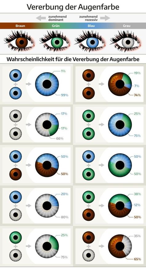 Eye Color Genetics, Eye Color Chart Genetics, Eye Color Chart, Eye Facts, Medical Knowledge, Gray Eyes, The More You Know, Pretty Eyes, Eye Art