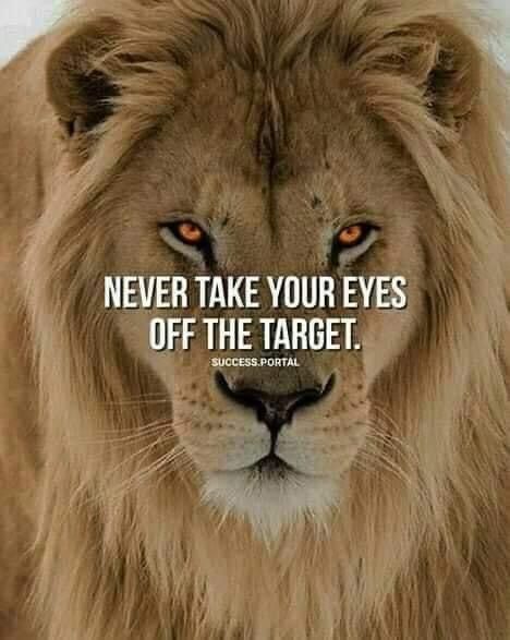 Lion Attitude, Quotes Attitude, Inspirational Rocks, Inspirational Quotes Background, Inspirational Life Lessons, Lion Quotes, Mindset Inspiration, Lion Love, Strong Mind Quotes