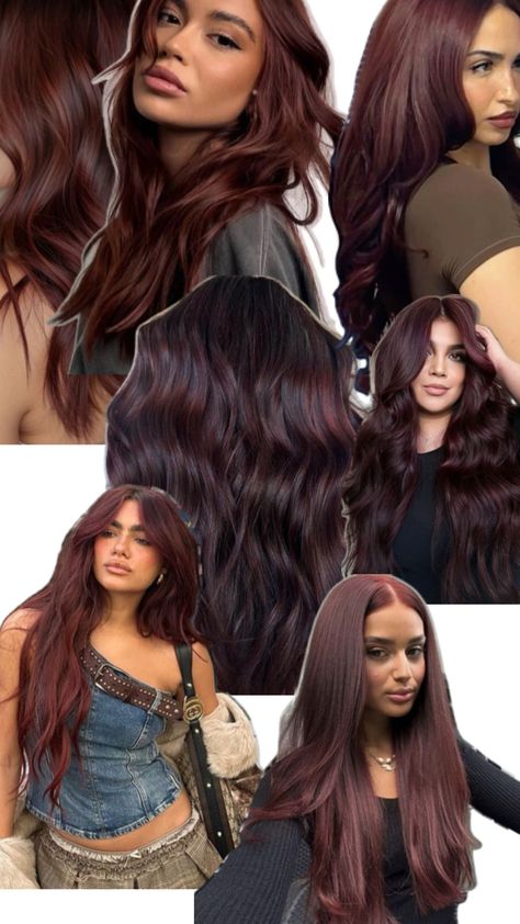 Plum Hair Olive Skin, Latina Hair Color Ideas Olive Skin, Hair Color For Tan Skin Tone, Long Layered Bangs, Brown Hair On Brown Skin, Chocolate Cherry Brown Hair, Latina Hair Color Ideas, Hair Olive Skin, Plum Brown Hair