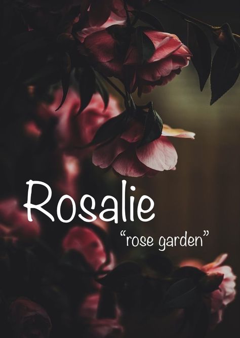 Rosalie Name Meaning, Rosalie Aesthetic, Element Names, Character Name Inspiration, Names I Adore, Turkish Names, Meaning Name, Names For Ocs, M Name