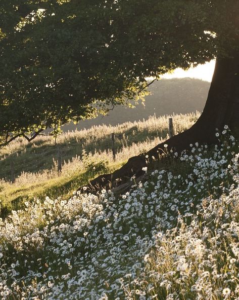 Jane Austen Landscape, Bridgerton Spotify Cover, Jane Bennett Aesthetic, Regency Aesthetic Jane Austen, 1810s Aesthetic, Modern Elizabeth Bennet Aesthetic, Regency Era Aesthetic Wallpaper, Jane Austen Core, Cordelia Carstairs Aesthetic