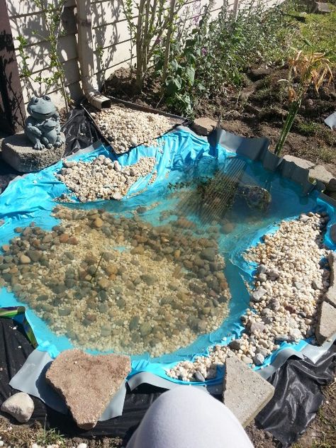 Yes that is a kiddie pool I'm using as a liner Kiddie Pool Pond, Tub Pond, Yard Pond, Backyard Improvements, Diy Ponds Backyard, Pool Architecture, Only In Ohio, Turtle Habitat, Swimming Pool Architecture