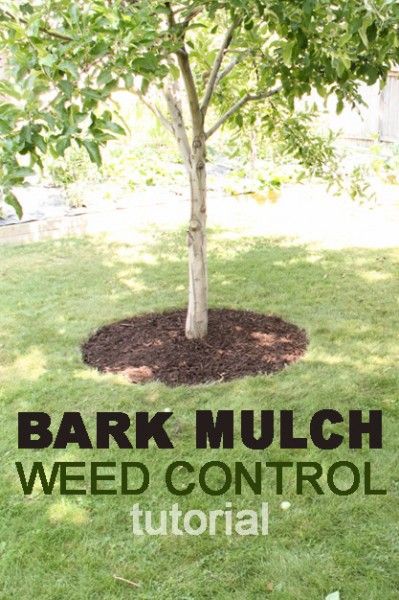 Mulch Weed Control Around Trees Mulch Around Trees, Landscaping Around Trees, Mulch Landscaping, Lawn Care Tips, Diy Landscaping, Yard Work, Outdoor Garden Furniture, Lawn And Garden, Mulch